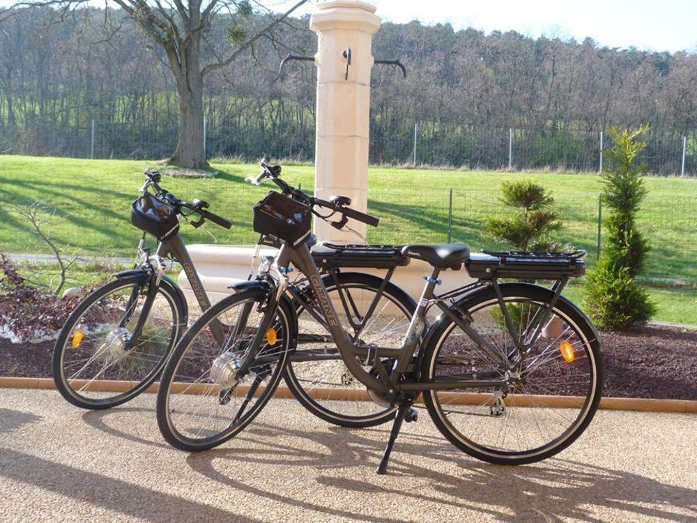 Hotel Le Kolibri Tournus Zewnętrze zdjęcie